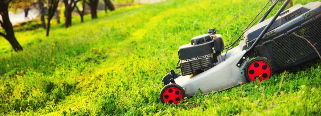 suffer a lawnmowing injury this summer